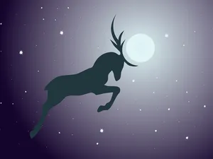 07c698ed7ee5a4bc7e75e19ec550701d-4