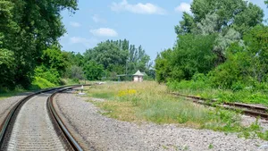 06